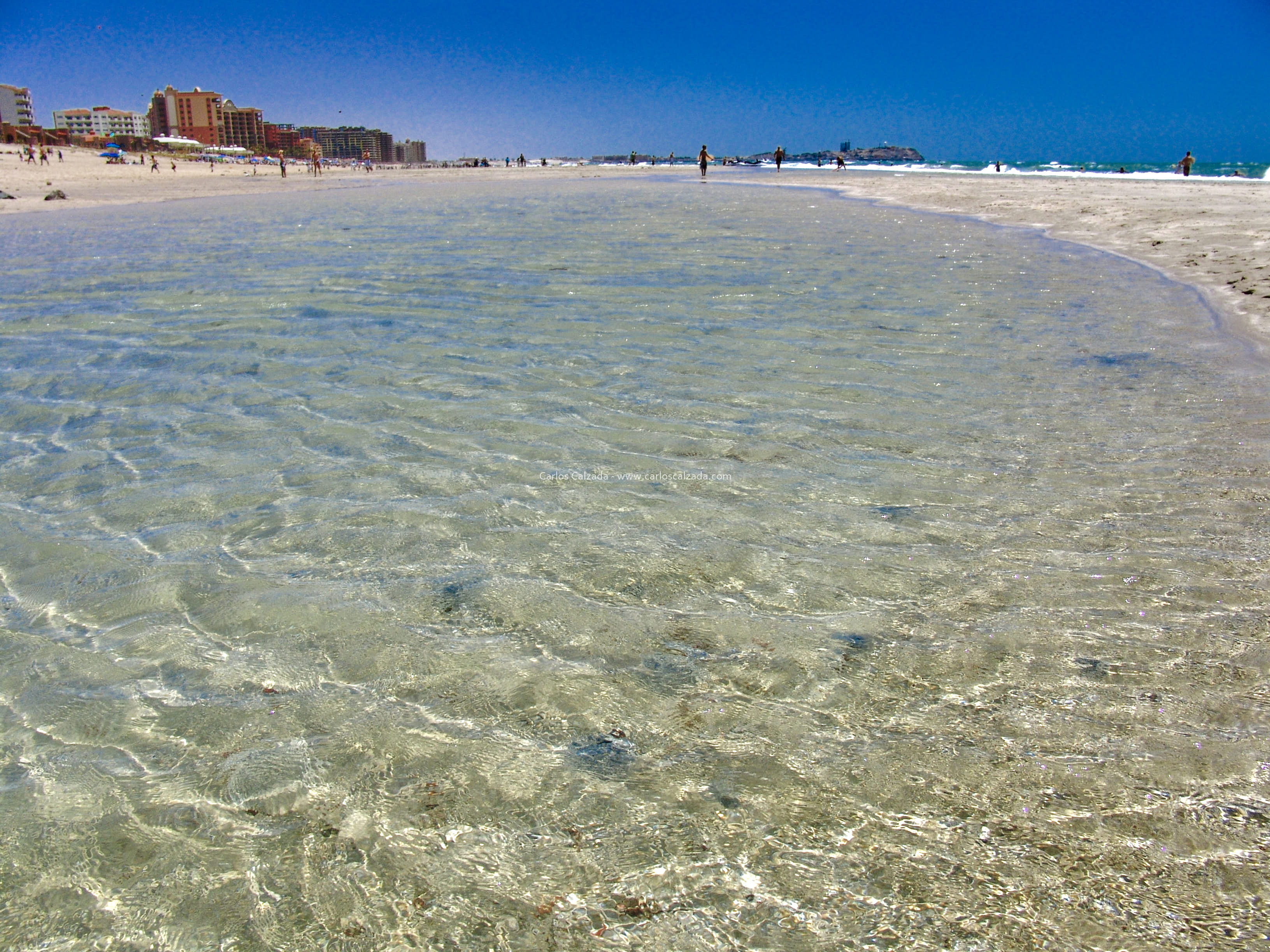 Arenosa_2008 (21).jpg